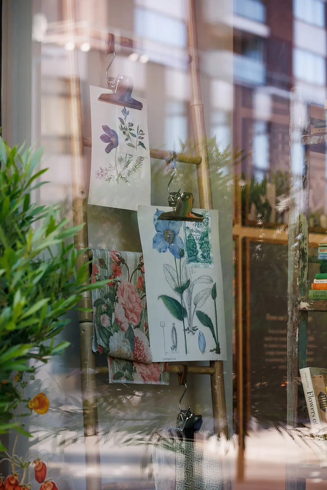 Botanical illustration prints and floral fabric samples clipped inside a shop window, with reflections of the street layered over the display.